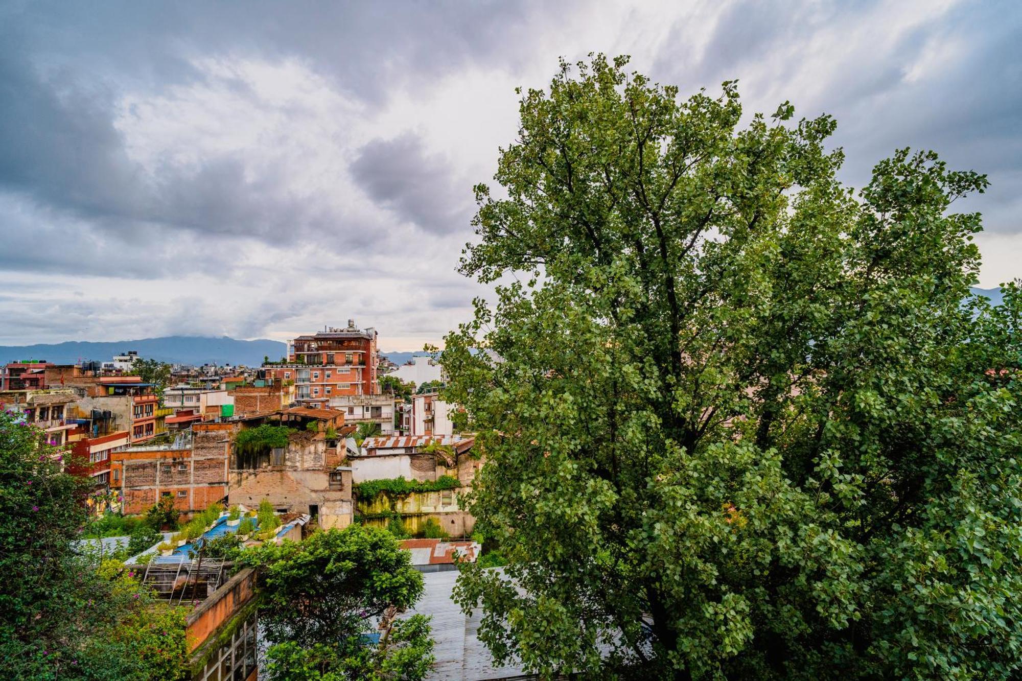 Rest Up Kathmandu Hostel מראה חיצוני תמונה
